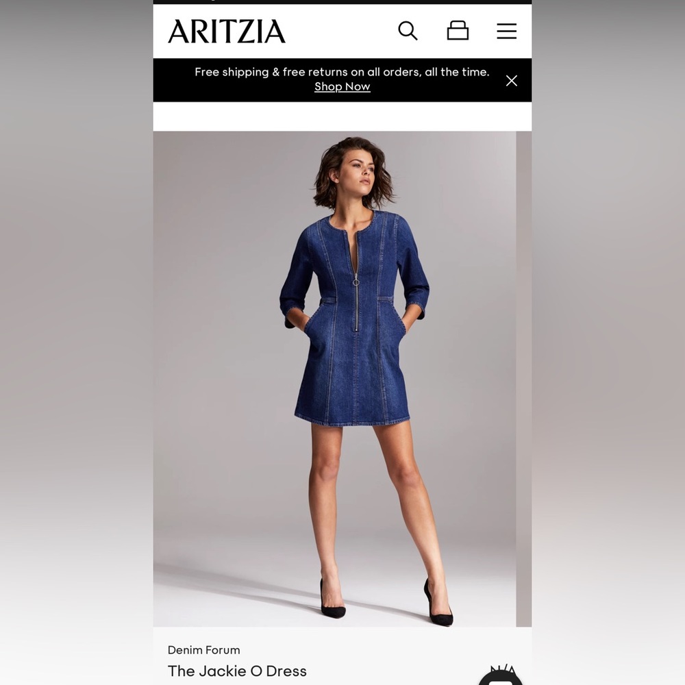 Aritzia Denim Forum Jackie O Dress